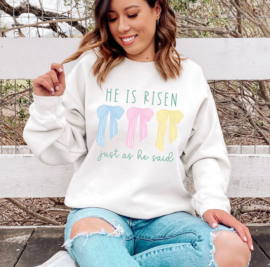 He Is Risen Gildan T-Shirt (Plus)